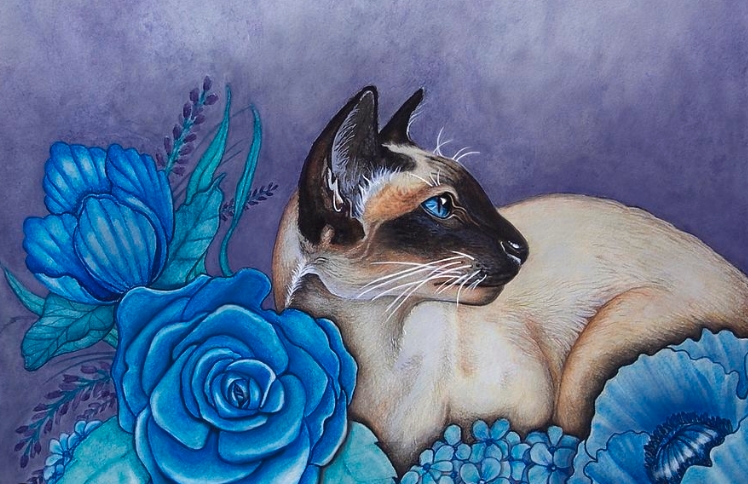 siamese cat painting