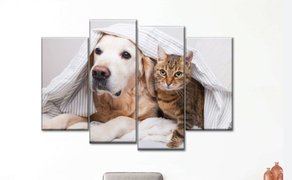 dog and cat wall art