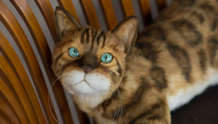 bengal cat statue