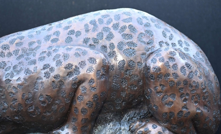 large outdoor cat statues