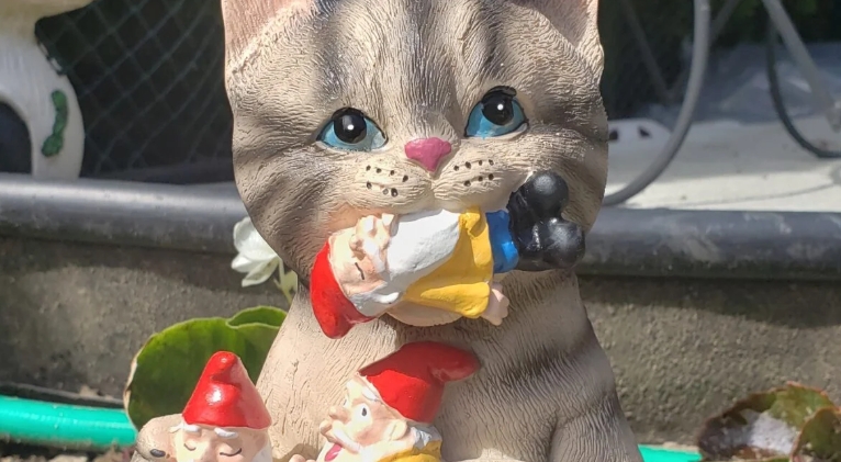 cat eating gnomes