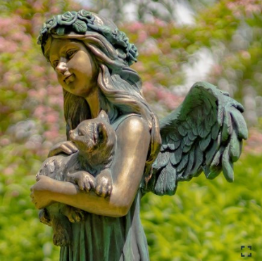 cat angel statue outdoor