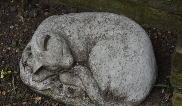 cat gargoyle garden statue