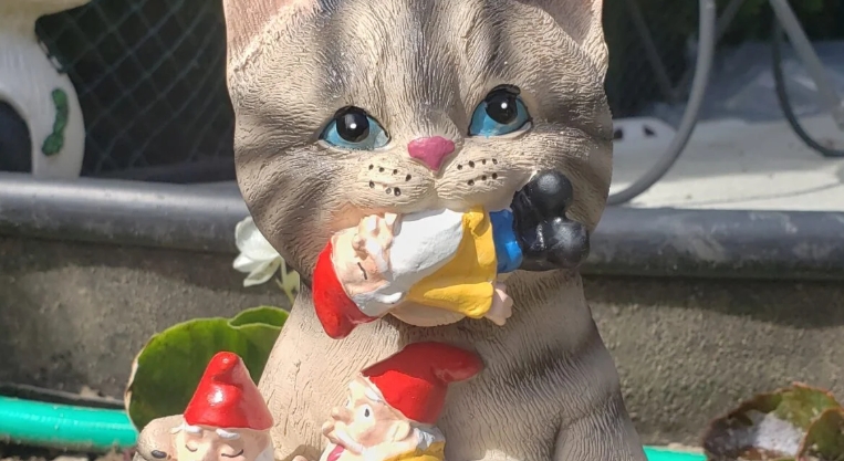 cat lawn gnome