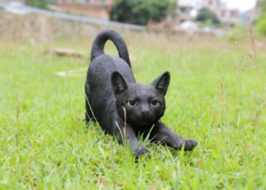 black cat statue outdoor