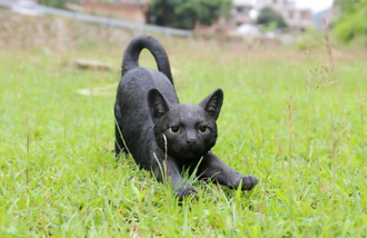 black cat outdoor statue