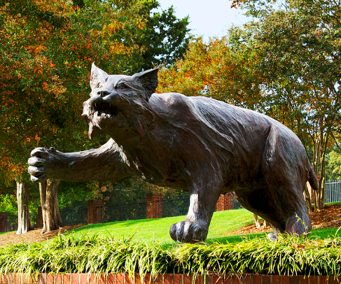 giant cat sculpture