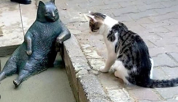 stray cat statue