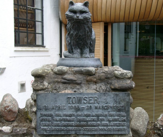 towser cat statue