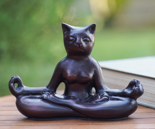 yoga cat statue pier one