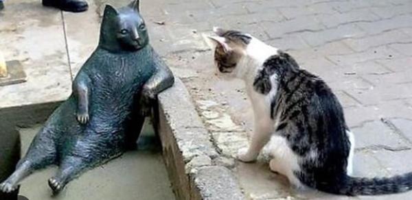 famous cat statue